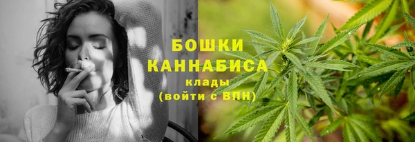 spice Горняк