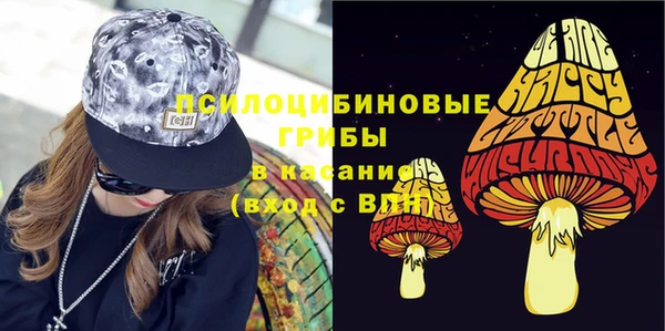 spice Горняк