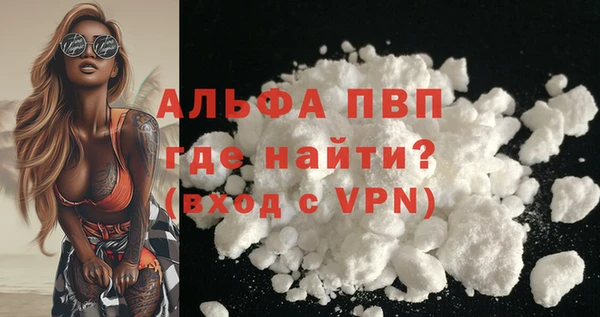 spice Горняк