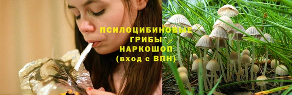 таблы Гусев
